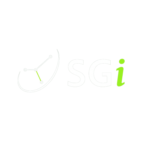 SmartGolf SGi