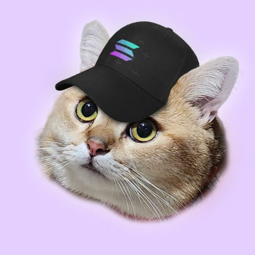 CatSolHat