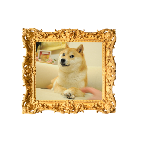 Own the Doge